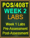 POS/408T Week 2 Pre-Assessment, Post-Assessment, Flashcards, and DQ